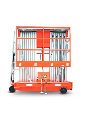 Подъемник мачтовый сетевой 200 кг 10/12 м TOR GTWY10-200S AC 220В 2-мачтовый - фото 59136