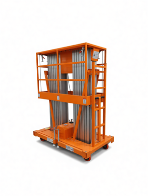 Подъемник мачтовый сетевой 200 кг 8/10 м TOR GTWY8-200S AC 220В 2-мачтовый - фото 65806